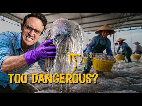 Making Millions from Vietnam's Most Deadly Seafood