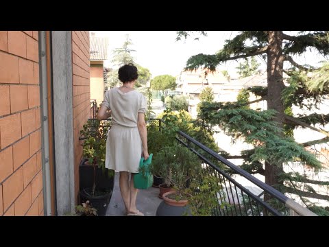 Prendersi cura della famiglia | preparare del buon cibo | passata di pomodoro fatta in casa