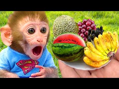 Bebé Mono BonBon Cosecha Sandías Deliciosas En La Granja Y Prepara Jugo En Casa - MONO BONBON ESP