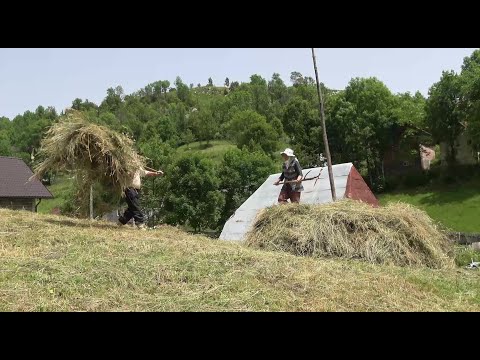 Dok su nosile šarene gaće,baco sam i preko stožine