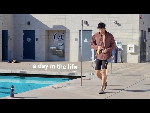 A typical day training for the Olympics (as a Software Engineer)