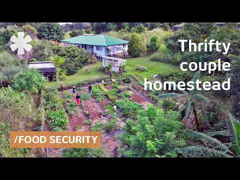 Thrifty couple grows all their food in their food-forest backyard