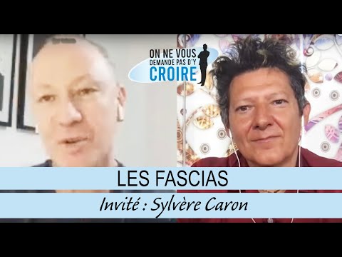 SYLVERE CARON Les fascias