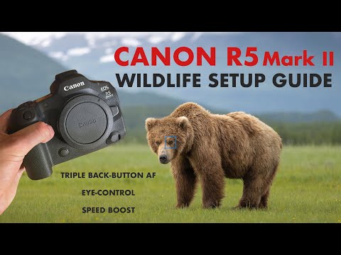 Supercharge your Canon R5 II for Wildlife Photo & Video (Complete Setup Guide)