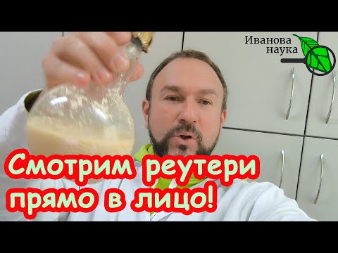 BOLD DECEPTION OF BLOGGERS: REUTER yogurt under the microscope. What real reuteri yogurt looks like.