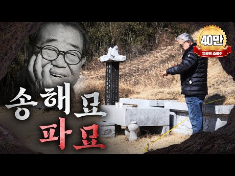 송해묘의 진실🎖️효풍수지리 회장이 직접 찾아간 명당 or흉지 산소 수맥 감별