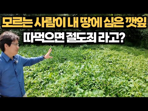 If someone is secretly farming on your land, here's how to deal with it.