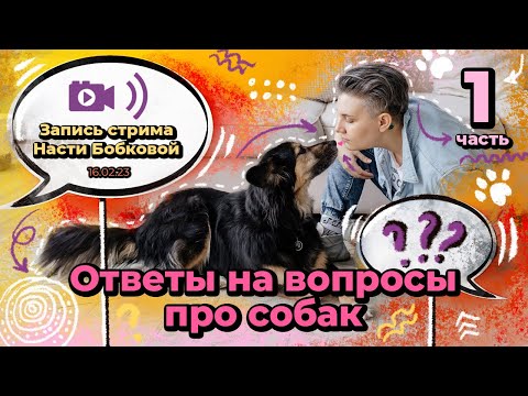 Стрим Насти Бобковой. Вопросы-ответы. Часть 1