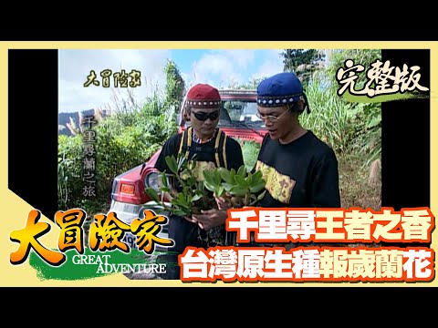 【大冒險家】王者之香蘭花 台灣報歲蘭（遭土峰襲擊／採擷野生台灣蝴蝶蘭／大峽谷）│2000.01.31│12集完整版