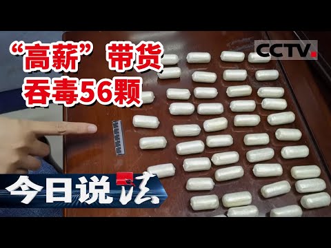 《今日说法》一颗200元 高薪“带货” 竟是毒品运输 男子为钱疯狂吞毒56颗...... 20220603 | CCTV今日说法频道