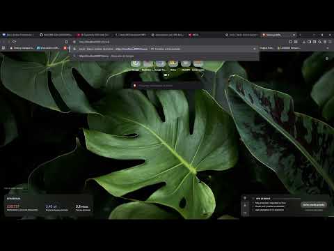 Video Tecnico de Banco Andino
