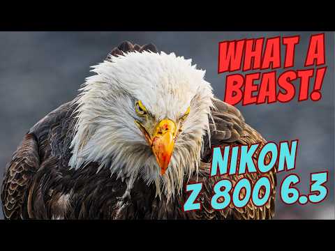 I Took the 800mm BEAST into the Wild… Here's What Happened!