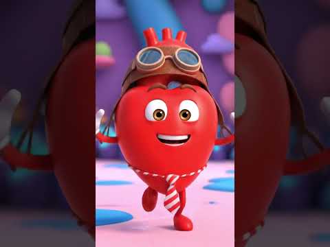 How Do Your Organs "Fall in Love"? | The Organ Story