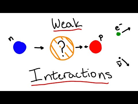 What's Up with Weak Decays? (Standard Model Part 6)