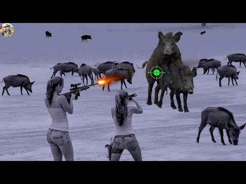 Night Hunt in Georgia - Hundreds of Wild Boars Flood Farm at Night - How a Female Hunter Deals?