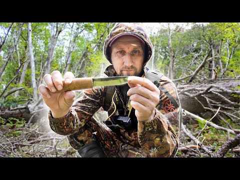 БЕШЕНЫЙ КЛЕВ НА ОЗЕРЕ. НАБРАЛ ПЕРВЫХ ГРИБОВ.