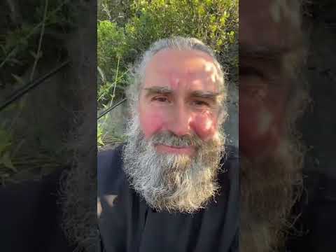 О снах, благодати и любви к себе. Запись прямого эфира от 02.06.22. Монах Андроник. Афон