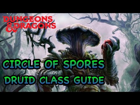D&D5E: CIRCLE OF SPORES DRUID CLASS GUIDE