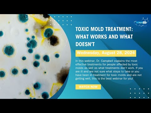 Toxic Mold Treatment: What Works and What Doesn't