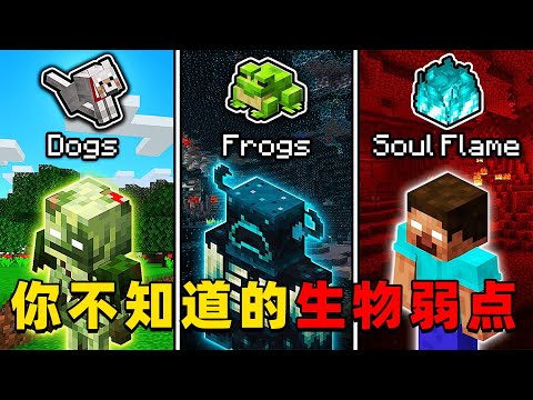 我的世界：每个生物你不知道的弱点，快来看看你知道几个？