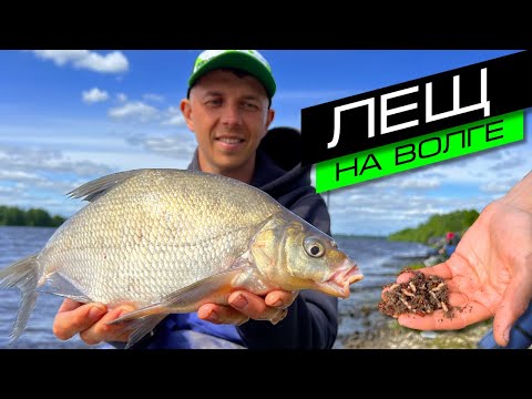 ЛОВЛЯ ЛЕЩА НА ФИДЕР / РЫБАЛКА НА ВОЛГЕ / FROS FISHING