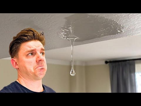 Fixing a leak from the ceiling! #asmr