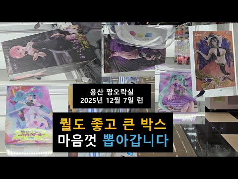 2종 알베도와 2종 하츠네미쿠 그리고 오등분 이치카까지 큰 박스들 뽑아갑니다. 용산 짱 오락실은 항상 즐겁네요