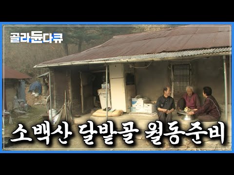 20년간 사람 발길 닿지 않은 소백산 ‘달밭골 마을’은 어떻게 긴 겨울나기를 준비할까｜한국기행｜#골라듄다큐