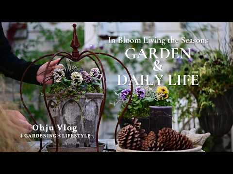 [Gardening Vlog]Winter-Inspired Container Gardens: Three Arrangements with Violas and Pansies
