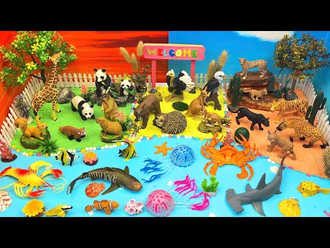 A Fun Day at the Zoo & Ocean 🐼🐅🐠 | Herbivores, Omnivores & Carnivores