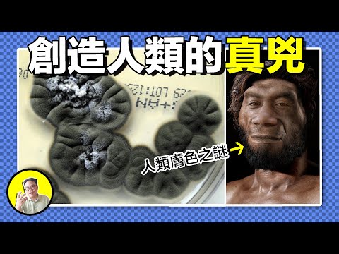 切爾諾貝利污染區發現大量變異生物，核輻射下誕生的黑色生命，竟然是人類殖民星際的希望......｜總裁聊聊