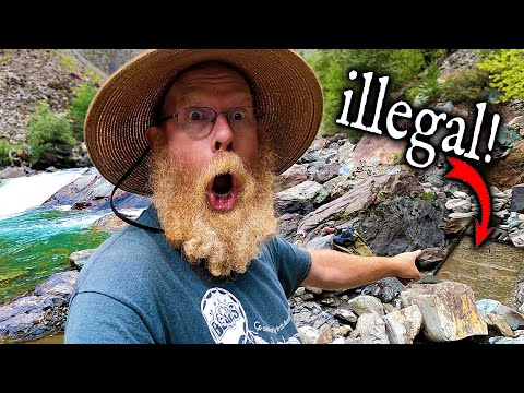 I found GOLD in an ILLEGAL ground sluice!