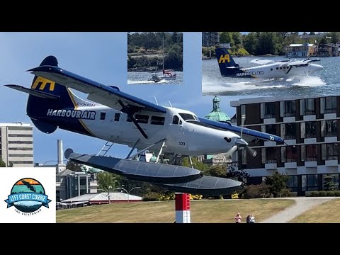Chaos at Victoria Harbour! Wayward Sailboat Invades Runway - Seaplane Drama Unfolds!
