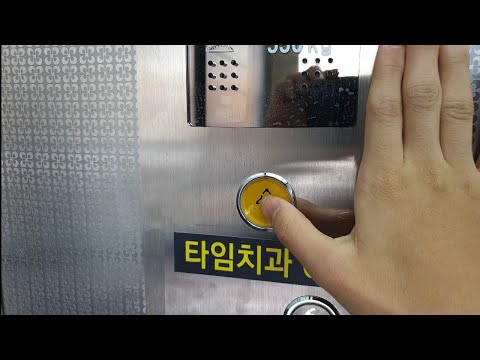 대한서림 엘리베이터 근황