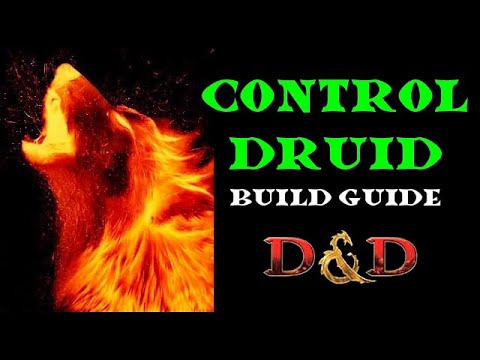 Wildfire Druid Build Guide: D&D