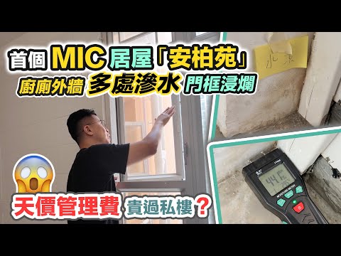安柏苑😱首個MIC居屋😭收樓即滲水入屋💦外牆廚廁多處漏水❗️濕度超標～黑糯米睇樓驗樓 CC 中文字幕