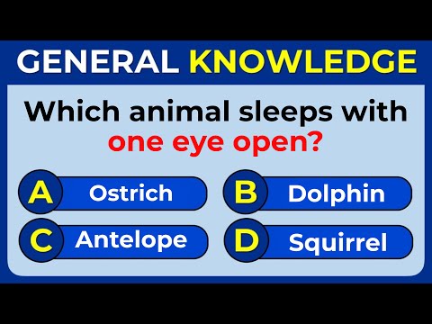 How Good Is Your General Knowledge? Take This 35-question Quiz To Find Out!