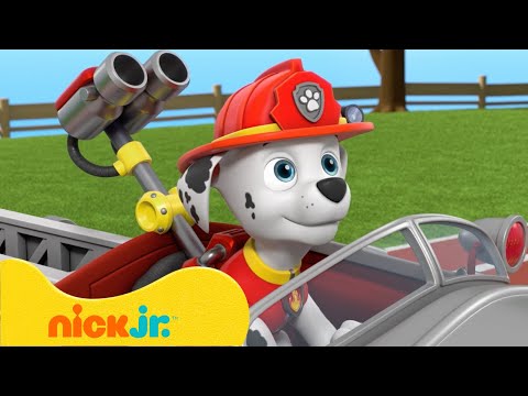 Щенячий патруль | Лучшие моменты 8 сезона "Щенячий патруль"! 🐶 (Часть 2) | Nick Jr. Cyrillic