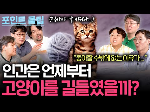 고양이는 언제부터 사람에게 길러졌을까? (5000년 전에도..)