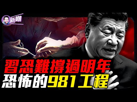 深度爆料:習黨魁病入膏肓,恐撐不過明年!解放軍醫院的絕密任務:「981工程」與活體零件移植黑幕!『新聞最嘲點 姜光宇』2025.0908