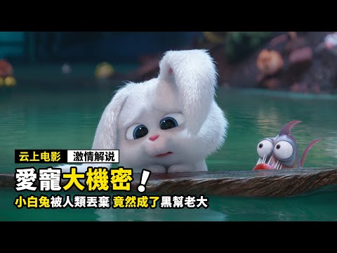 小白兔被主人抛棄后，竟然成了黑幫老大，一口氣看完《6部動畫電影》！