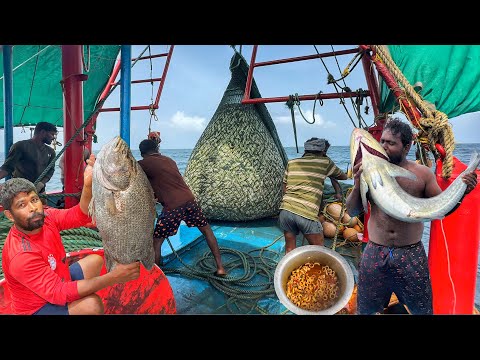 Untold‼️ Battling the Sea for Survival – Real Fishermen’s Journey ⚓💦