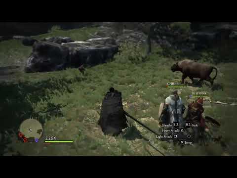 Dragons Dogma Guts & Griffith