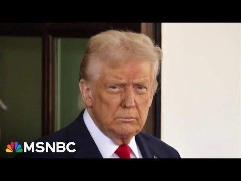 Tim Miller: ‘He wants to feel powerful and the tariff card allows him to do that’