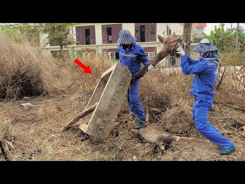 Nothing Can Stop Us from Transforming Abandoned Sidewalks from Filthy to Clean - A Shocked Cleanup