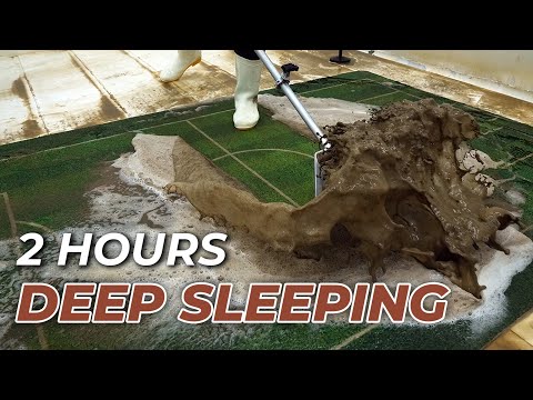 2 Hours Of Carpet Cleaning Helps You Sleep Well - ASMR Sleep - Deep Sleep, Cleaning Rug Shaggy