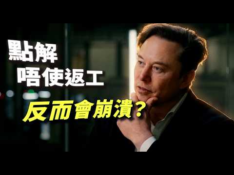 【首富警告】你以後唔使返工？Elon Musk 揭露最心寒佈局：當全世界有錢派，人類社會反而會崩潰？｜心流研究所 馬斯克