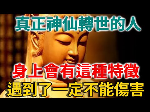 有些人是神仙卻不知道！真正神仙轉世的人，身上會有這種特徵！遇到千萬不能傷害 |禪語