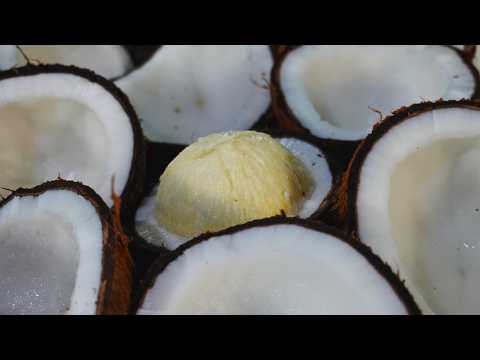 How I Made Coconut Oil at Home With Just 2 Methods!