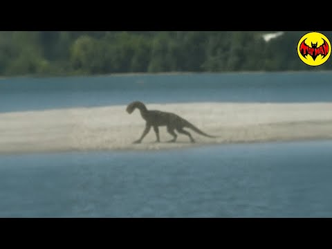 This Footage Changes What We Know About Extinction